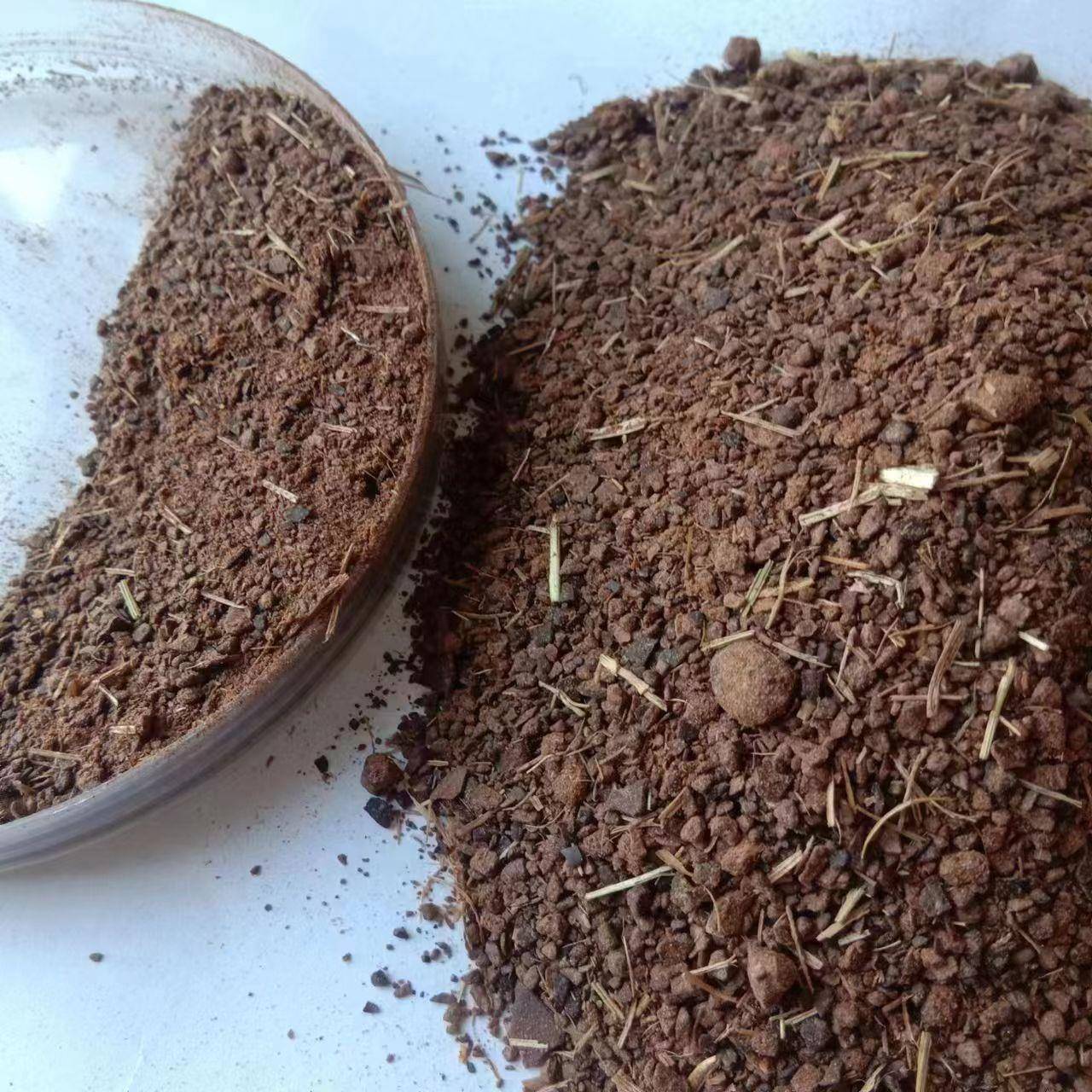 厂家直销 量大从优 清塘用茶粕 茶籽饼 可用于鱼虾蟹塘清塘
