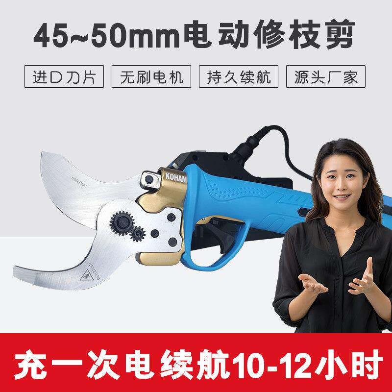 电动果树剪刀充电式大功率电池新款可携式园林修剪树枝高空剪电剪