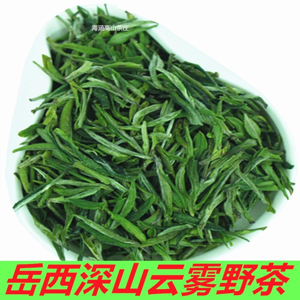 安徽2025年新茶 原产地高山浓香野茶 岳西翠兰茶叶春茶绿茶250g袋