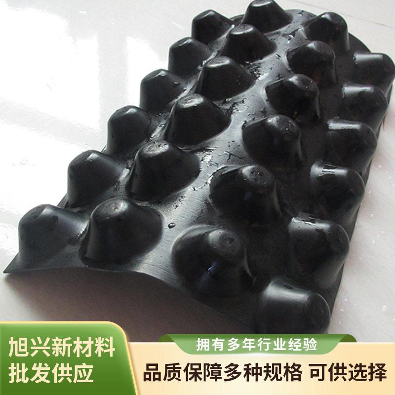 凹凸壳立体排水板厂家隧道工程屋顶种植蓄HDPE抗压用防护层排水板