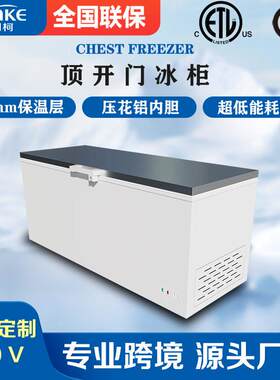 商用大容量储存冷冻柜顶开门卧式冰柜速冻柜出口款CE/ETL认证可定