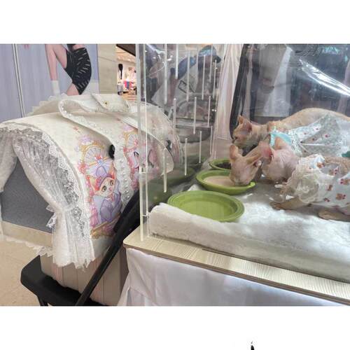 亚克力透明猫赛笼赛猫笼猫咪展示笼猫屋快捷安装狗笼子兔笼子