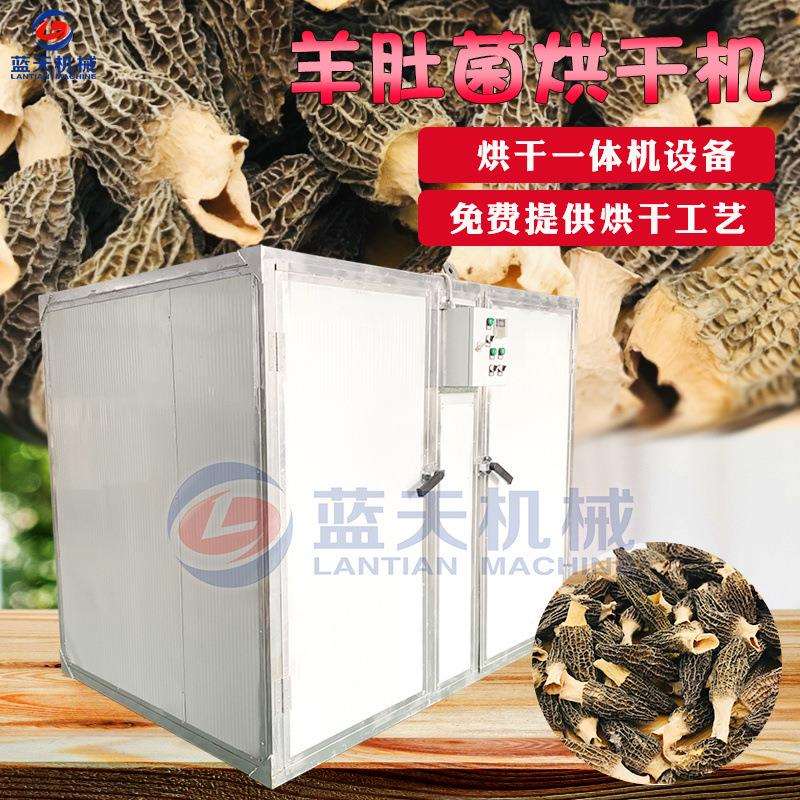羊肚菌烘干机小型 电加热羊肚菌干烘干箱 牛肚菌菇烘干设备厂家