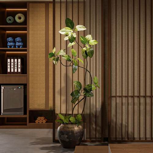 彷真绿色植物室内彷生植物孟加拉榕侘寂中古假树高端轻奢落地盆栽