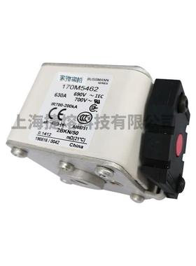 170M6540170M5462件快速熔断器ADA保险丝电子元器量大价优