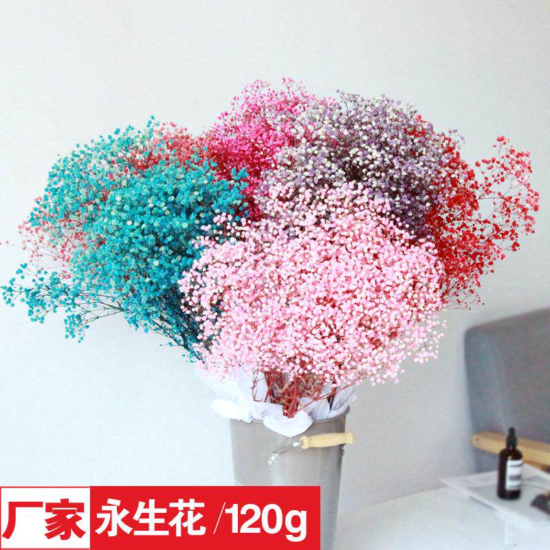 A级永生满天星干花400g狂想者厂家伊洛斯自然干花花束