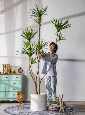 YXHBLXS大型仿植物室千年木龙血树假树盆栽内客真厅仿绿生植装饰