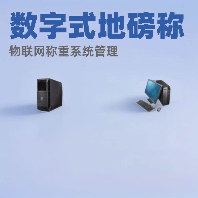 模拟式电子汽车衡称重管理系统数字式地磅称物联网称重系统管理