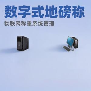 模拟式电子汽车衡称重管理系统数字式地磅称物联网称重系统管理