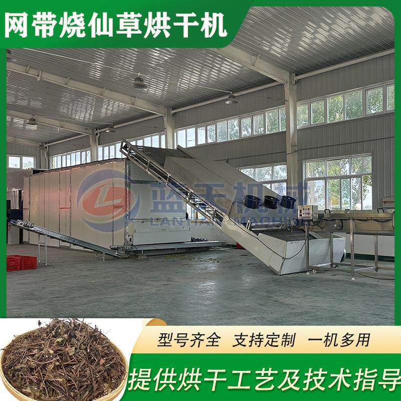 网带烧仙草烘干机全自动麦穗夏枯草烧颗粒干燥机凉粉草烘干设备