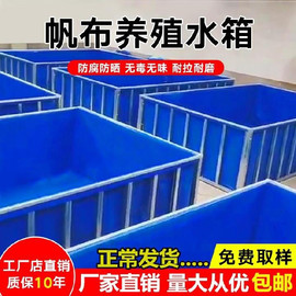 水池大型化方便箱池n锦水池小型养殖大储水桶鲤防老帆布长方形鱼