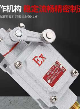 防爆行程开关DLXK微动感应开关限位器B型Z型lx5-15b脚踏双踏EX