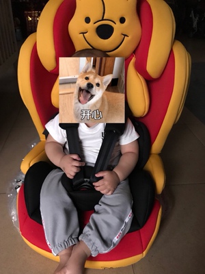 权威发布babysing儿童安全座椅怎么样?千万不要被忽悠了