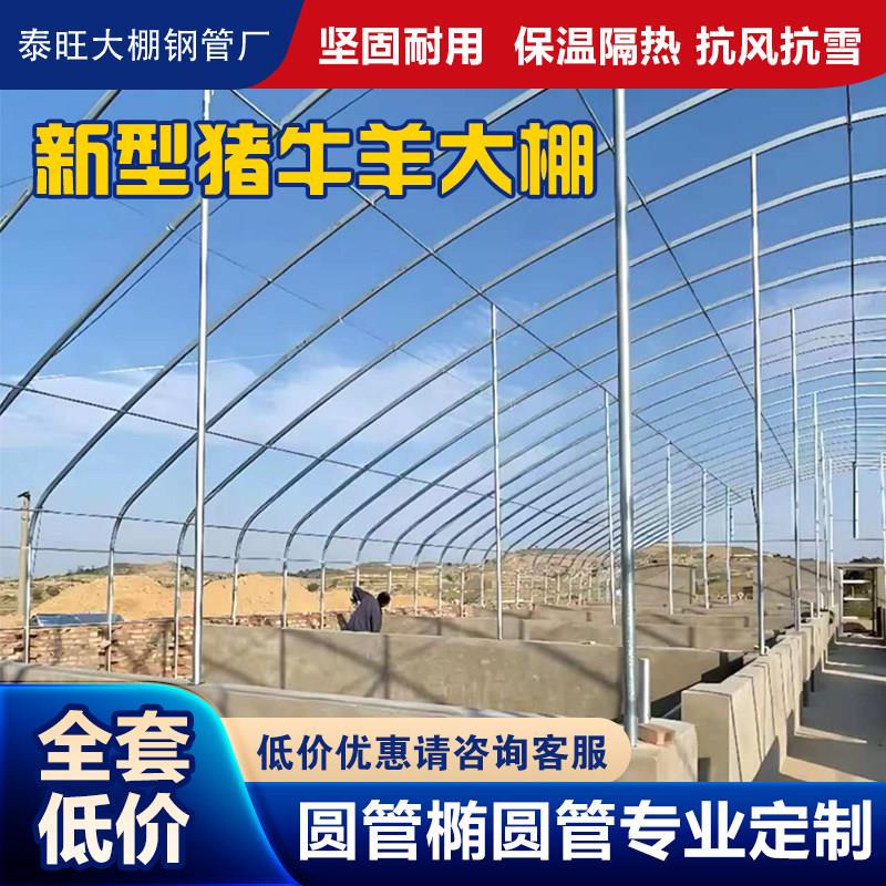 养殖大棚骨架钢管全套温室猪牛羊鸡鸭鹅兔鸽种植农用支架拱杆配件