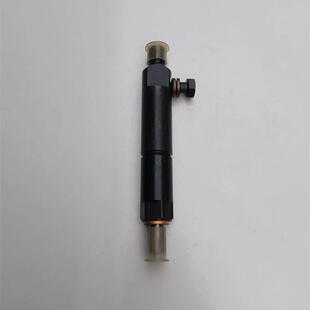 潍柴华丰油嘴总成R4105ZD潍坊华东R6105 6110喷油器配件 6108