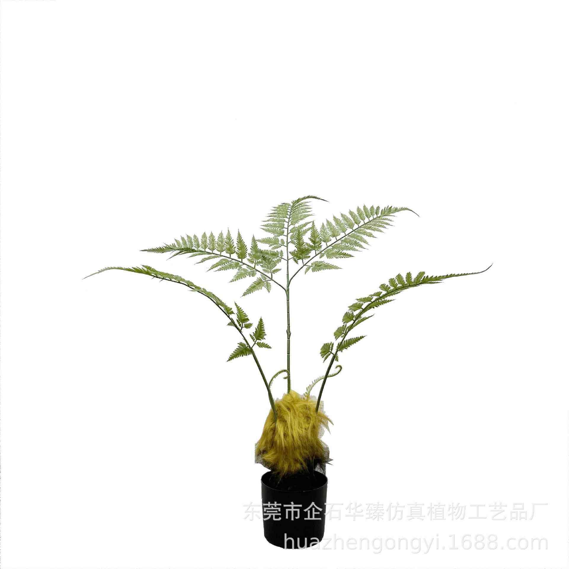 仿真猴头蕨金丝蕨禅意蕨盆栽植物大型蕨类盆景装饰摆件绿植