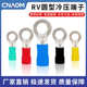 1.25 3冷压接线端头O型铜鼻子黄铜 RV2 PVC圆形预绝缘端子欧式