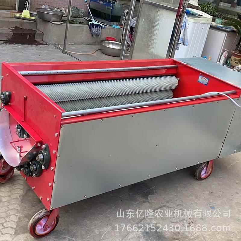 全自动青核桃皮脱无品牌/清洗机皮核桃薄脱壳机山鲜核桃剥皮机