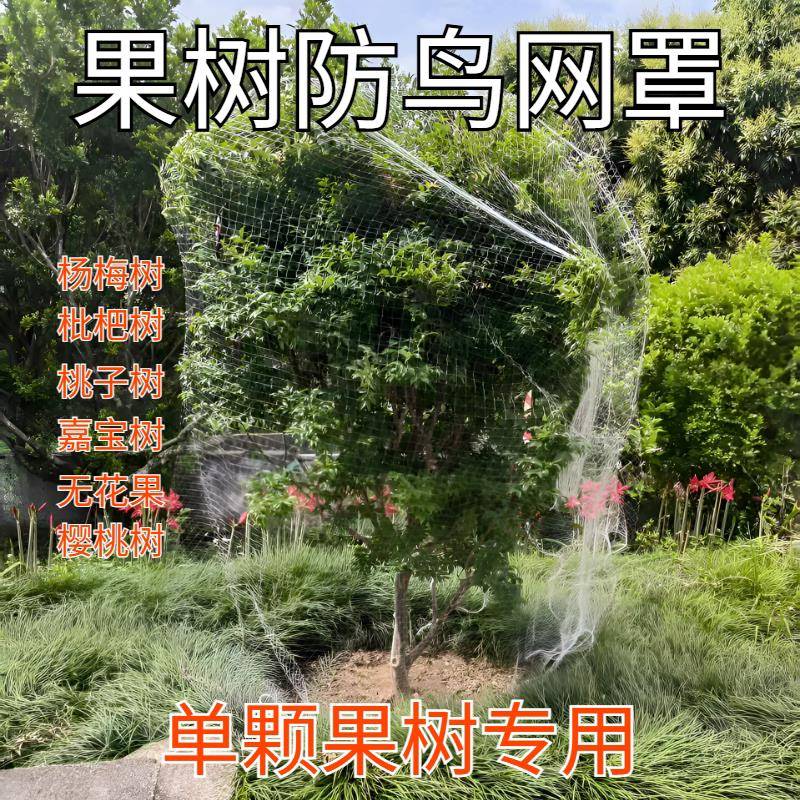果树防鸟网罩围网的保护用网小果园嘉宝葡萄樱桃枇杷尼龙专用神器