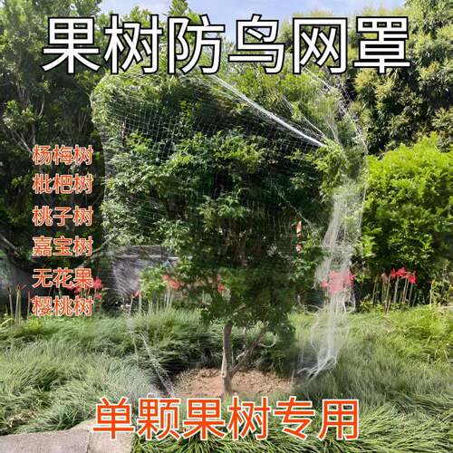 果树防鸟网罩围网的保护用网小果园嘉宝葡萄樱桃枇杷尼龙专用神器