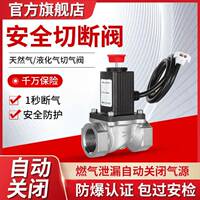 燃气瓦斯电磁阀瓦斯泄漏自动断气阀钢瓶机械手直通管道切断阀门