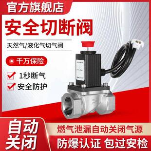燃气瓦斯电磁阀瓦斯泄漏自动断气阀钢瓶机械手直通管道切断阀门