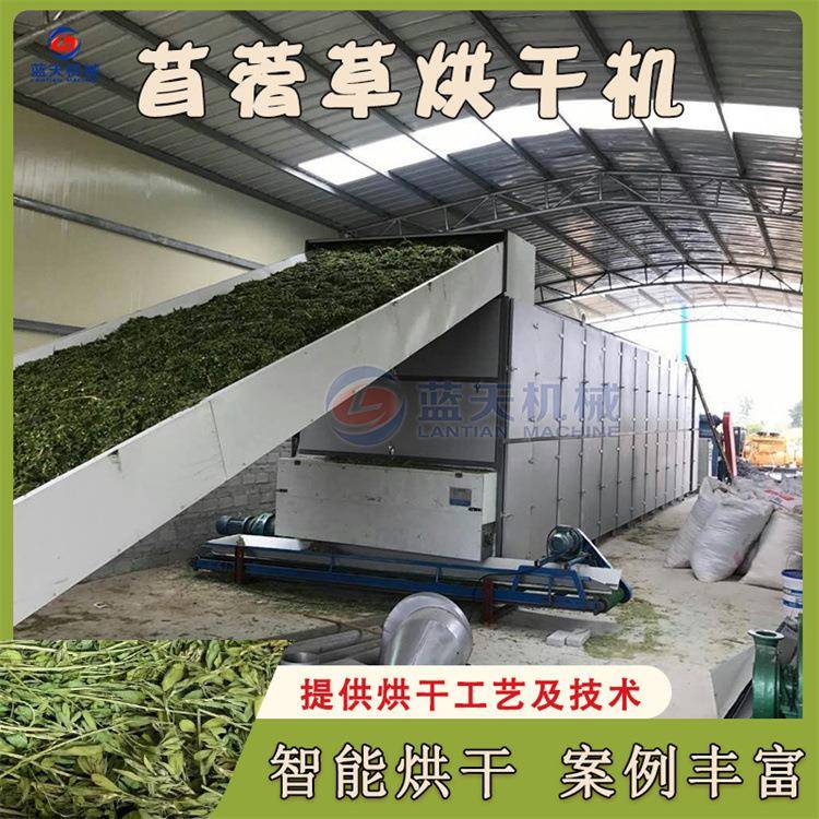 网带式苜蓿草烘干机三叶草牛角花脱水烘干设备大型干牧草干燥机