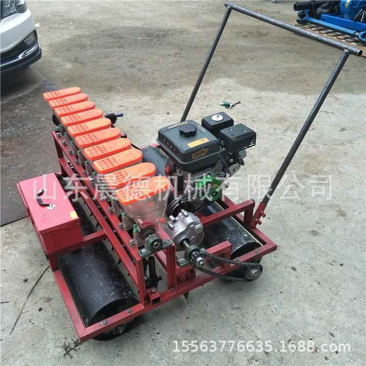 手推式菠菜蔬菜精播机 菜香白菜菜点播小UUI油播种机