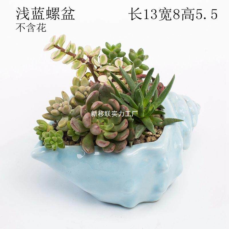 拇盆多肉小肉花奶罐多肉花盆指盆特XYLWOOFM小造型的多花盆个性新