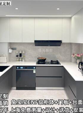 上海兔宝宝全屋定制整体整体橱柜PET禾香板晶钢板门板石英石不锈