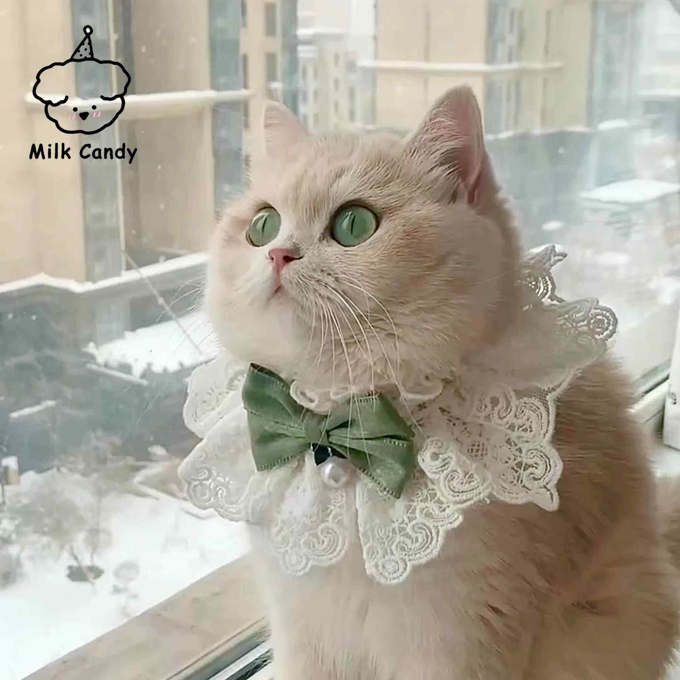 猫咪项圈狗狗围脖围兜宠物猫猫项炼围巾口水巾公主风小猫脖圈饰品,宠物/宠物食品及用品,项圈/肩带,淘宝优惠券,粉丝福利购,淘宝优惠卷