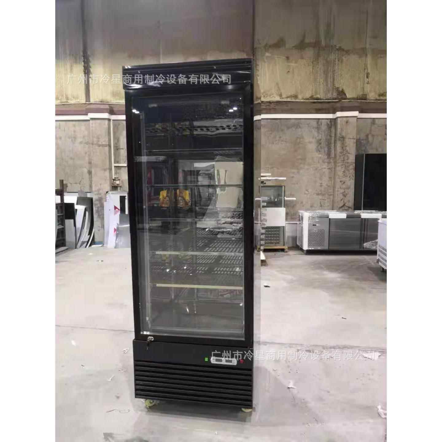 干式熟成柜商用牛肉排酸柜湿式冷藏保鲜柜冷冻柜西餐红酒恒温恒湿