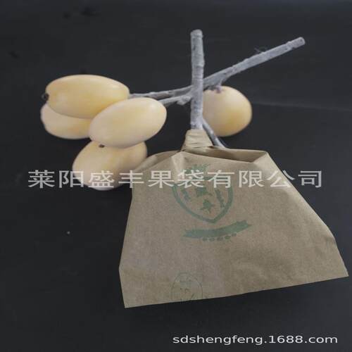 保护套盛丰枇杷芒果专用纸袋箱