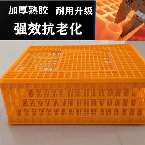 鸡笼家禽周转筐全新熟料大号加厚防摔鸡鸭鹅鸽运输周转箱鸭鸡笼子