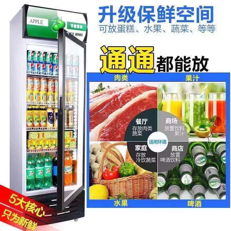 饮料柜立式冷藏双门展示柜单门冰箱超市保鲜柜商用冰柜饭店啤酒柜