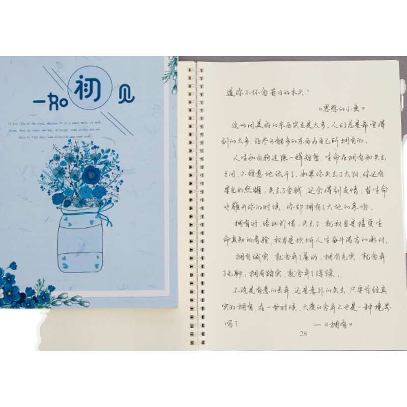 中考加分字体女生手写体清秀漂亮字体钢笔字帖大学生成人行楷行
