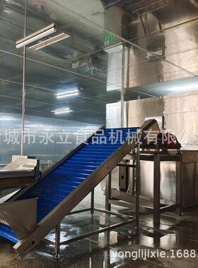 食品厂蔬菜加工隧道式冷冻机器 全自动果蔬冻机 芡实冷冻流水线