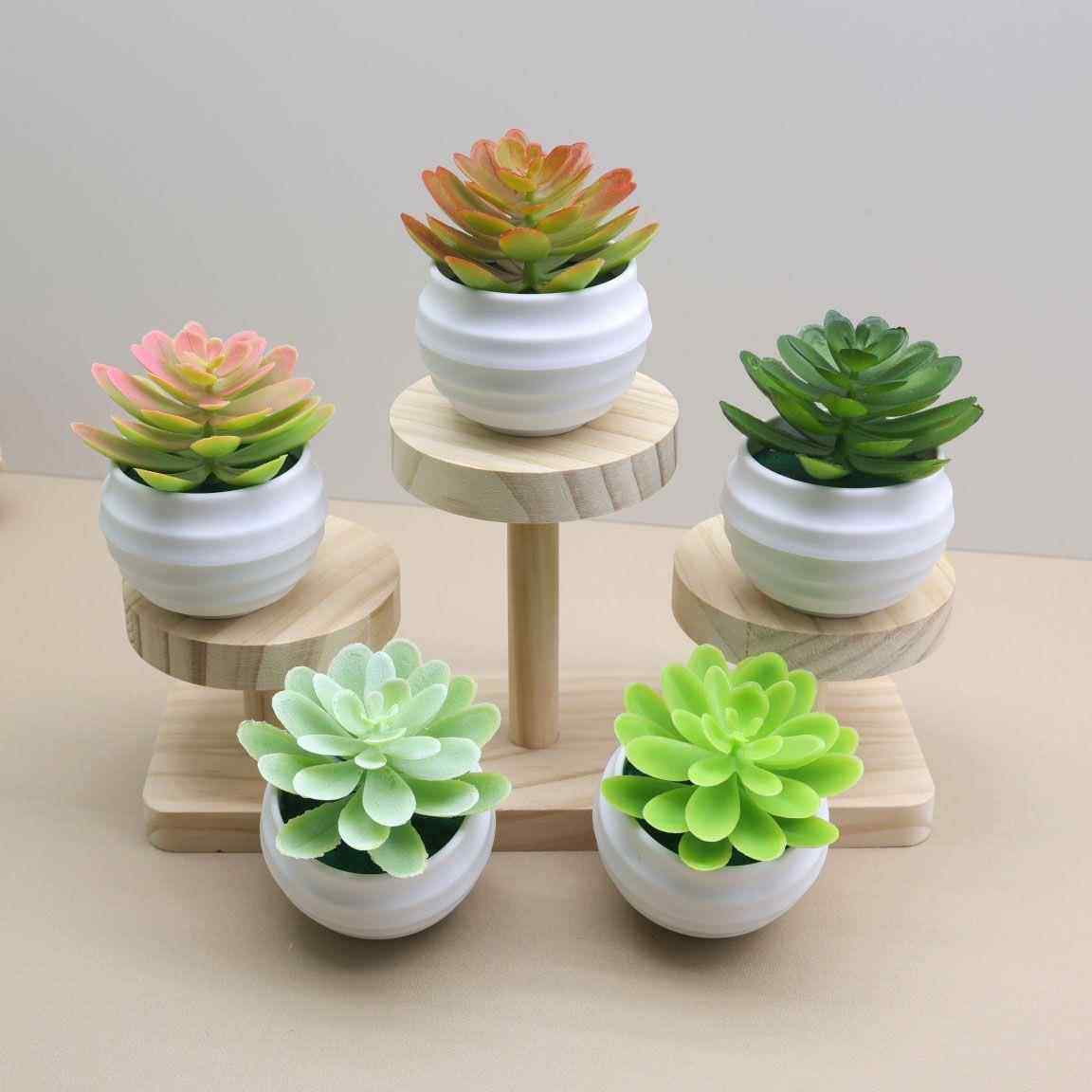 假花多肉植物盆栽创意客厅桌面绿植植物摆件物架装饰品装饰,家居饰品,仿真植物盆景,淘宝优惠券,粉丝福利购,淘宝优惠卷