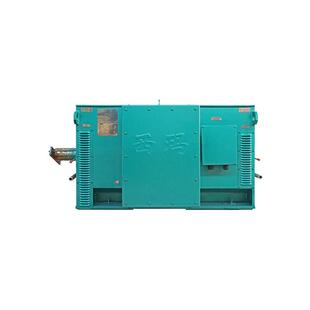 6560KW户外防腐WF1 西玛牌10KV高压紧凑型破碎机电动机YX4506