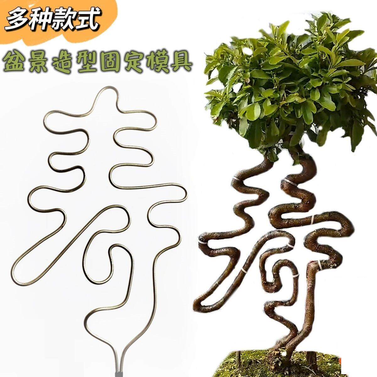 盆景定型铁艺模具(不含植物)金弹子造型福禄寿喜盆景造型字模具