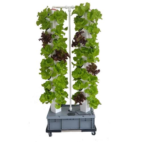 立柱草莓种植机家庭气雾培设备无土栽培蔬菜水培阳台种菜
