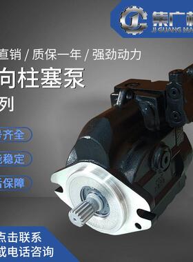 适用丹佛斯液压泵LRR/LRL轴向柱塞泵danfoss液压油泵高性价比