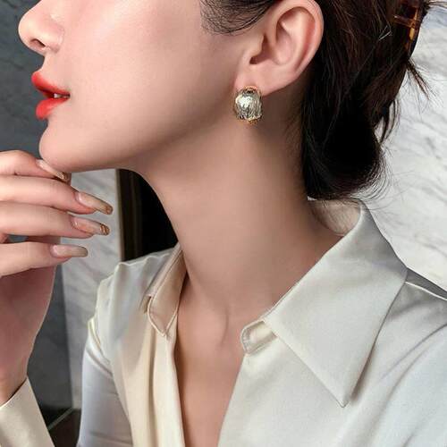 s925 Silver Needle Light luxury earrings temperament studs