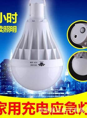 东之胜厂家销应直OVZ夜市摆摊照明可充电锂电蓬帐充急电灯LED灯泡