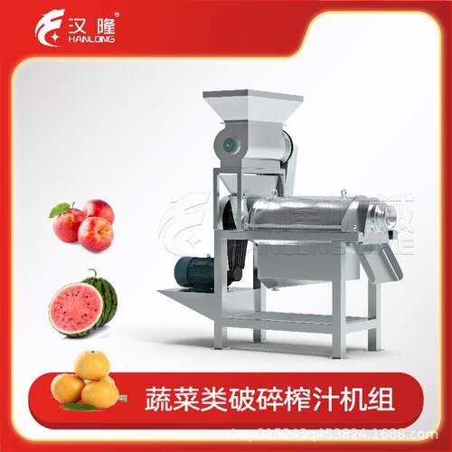 不锈钢大型工业破碎生姜榨汁机组挤压式蔬菜水果螺旋榨汁破碎设备
