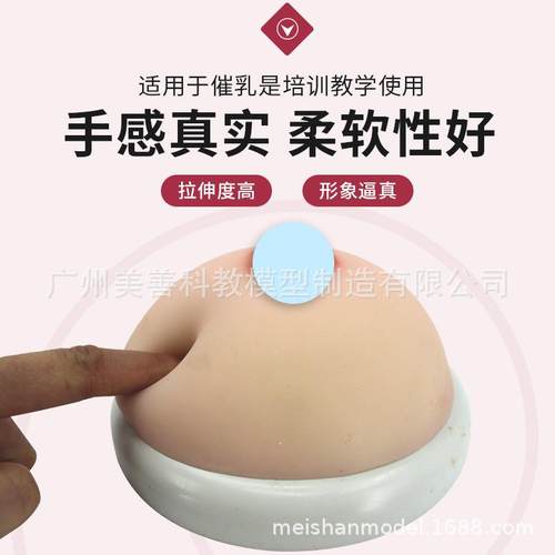 新款直销女性乳房模型 培训 假乳催乳师家政培训教具母乳喂养哺乳