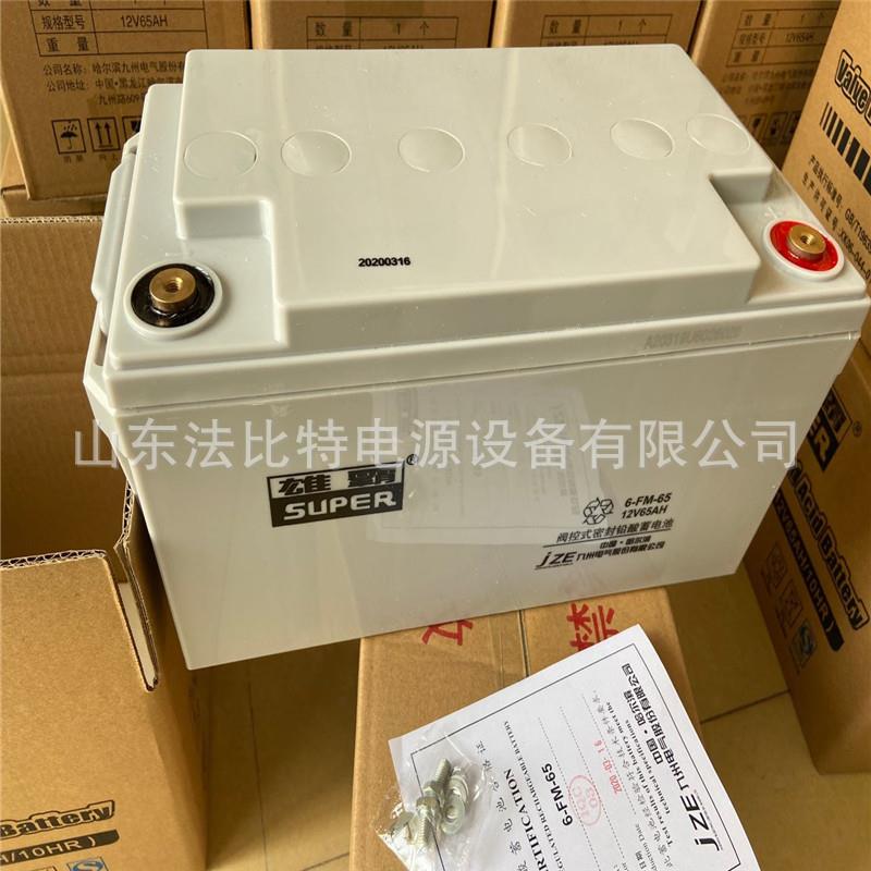 雄霸蓄电池6-FM-12 12V12AH九州电气 太阳能机房应急系统