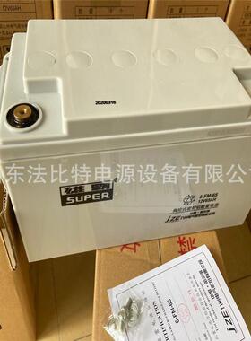 雄霸铅酸免维护蓄电池6-FM-100/12V-100AH直流屏EPS 雄霸6-FM-100