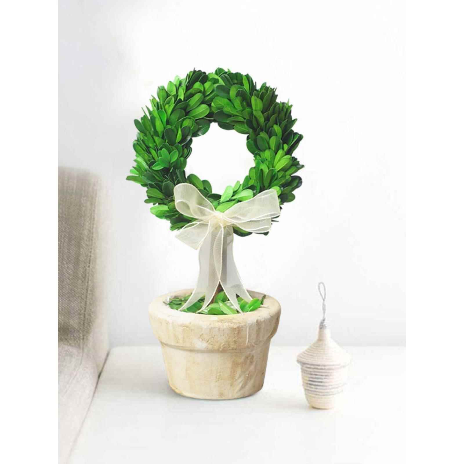 永生植物花卉室内小盆栽办公室桌面绿植好养蝴蝶结家居装饰小摆件
