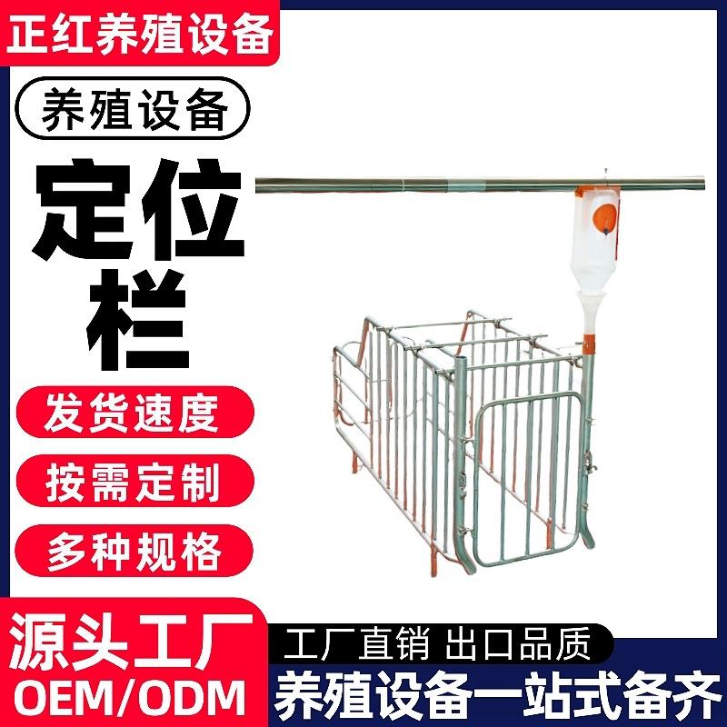 正红养殖设备 养殖场猪场料线母猪定位栏 母猪限位栏 母猪栏位